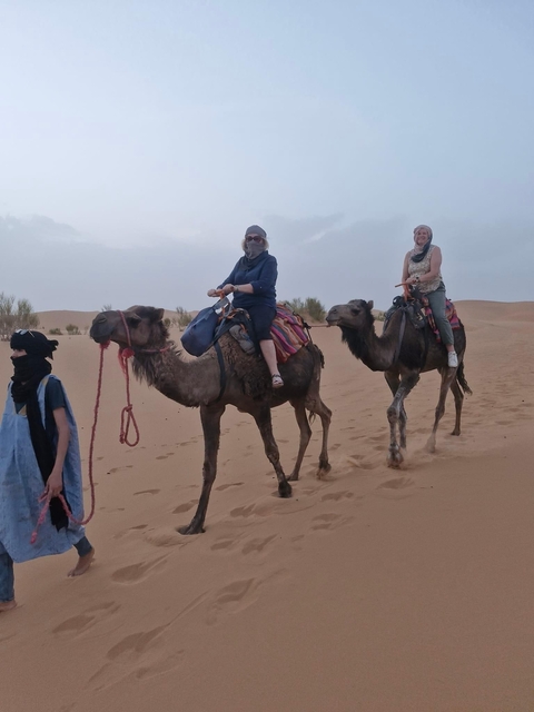       Two people riding camels in the desert.
  