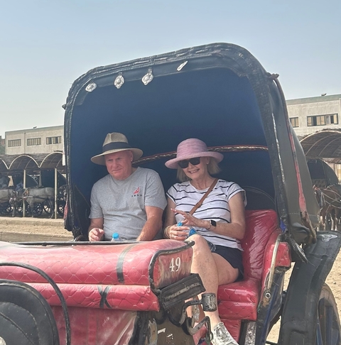       Couple sitting in a horse-drawn carriage.
  
