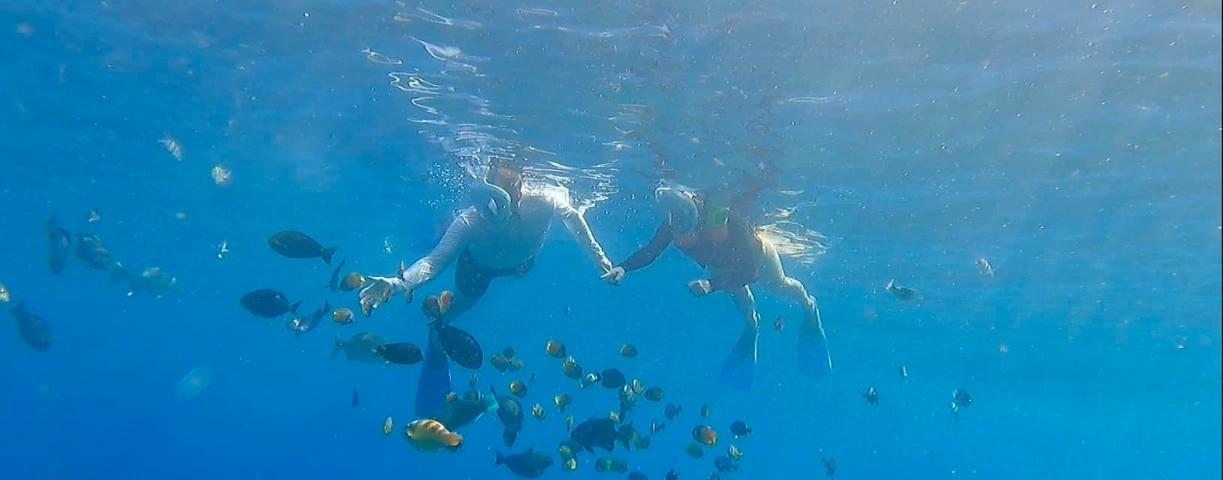       Two people snorkeling surrounded by fish underwater.
  