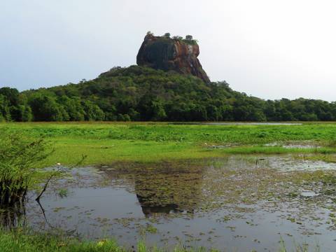 An ancient rock fortress surrounded by lush vegetation.