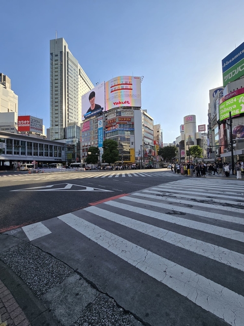 Itinerary Image 8