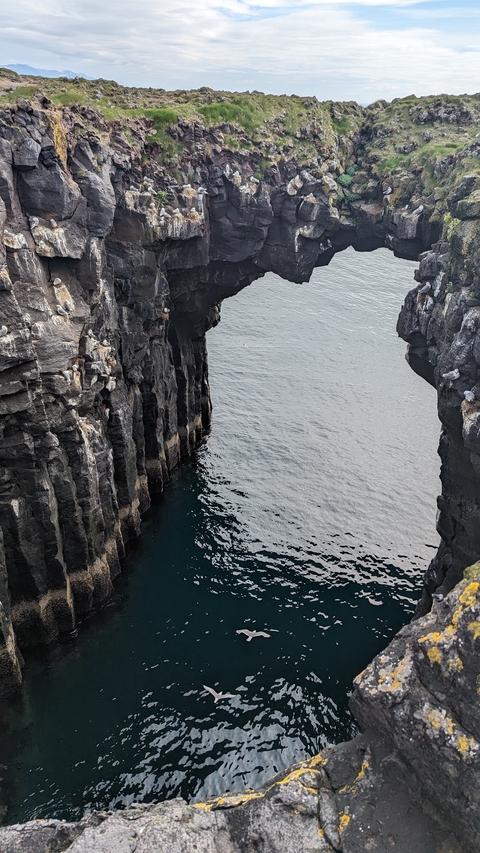 Tall cliffs with birds perched above the ocean.