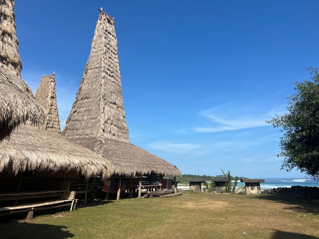       Close-up of thatched roofs against a blue sky.
  