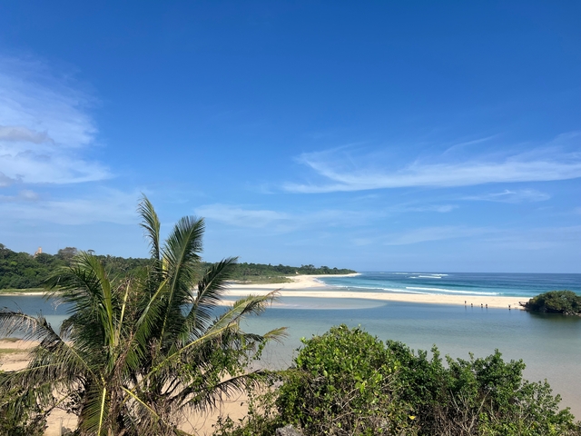 Wide beach view with palm trees and waves.