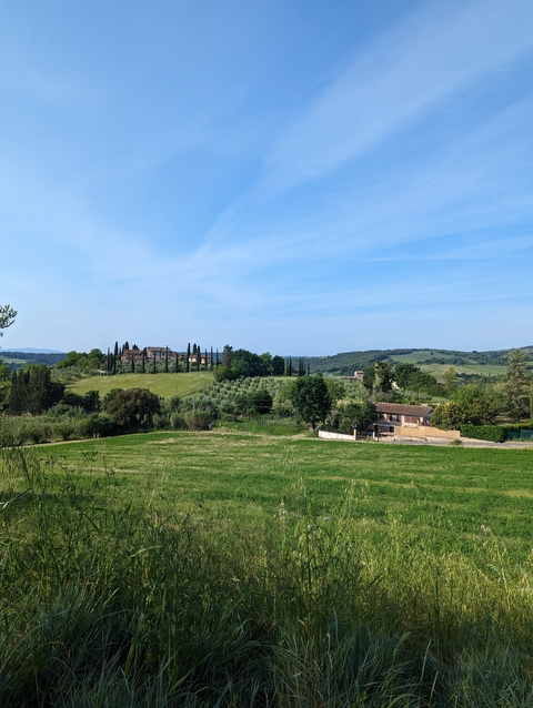 Countryside with hills and sparse trees under a blue sky.