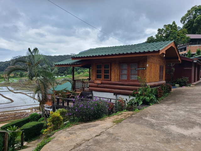 Wooden cabin surrounded by greenery and rice fields.
