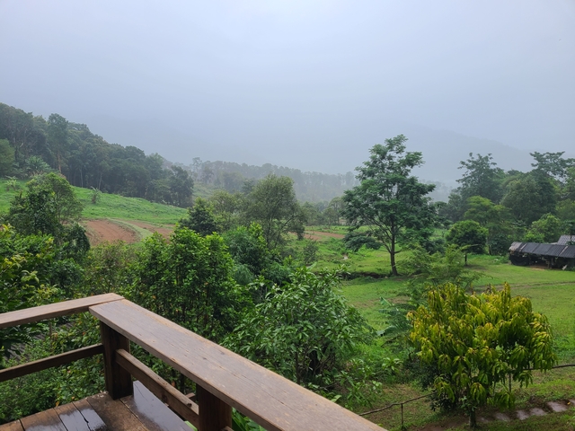 Foggy landscape with trees and hills.