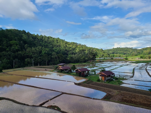 Rice paddies reflecting the sky with small huts.