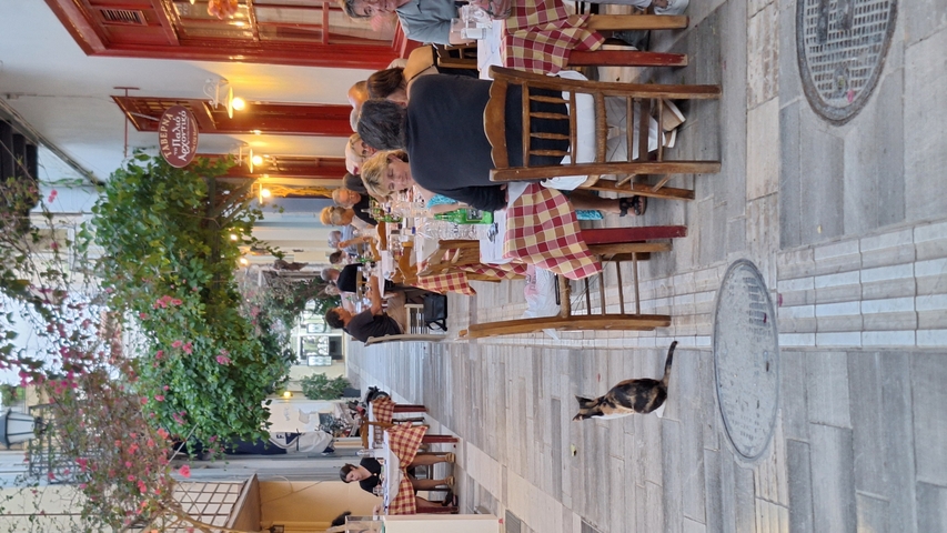      People dining outdoors in a narrow street with a cat.
  