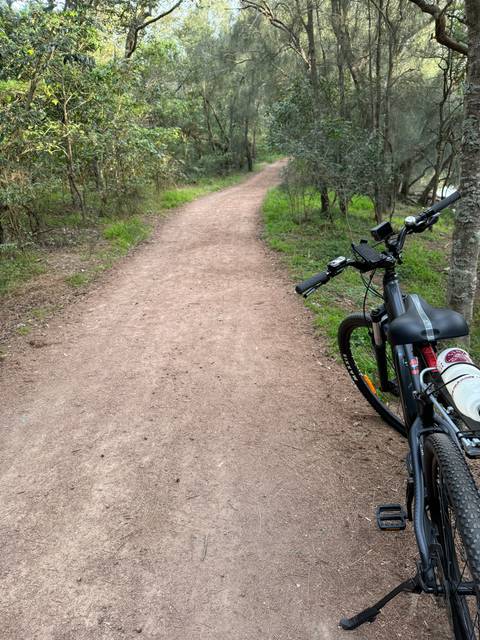 Bicycle parked on a dirt path amongst trees.