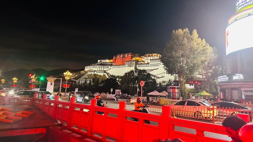 Night view of illuminated Potala Palace.