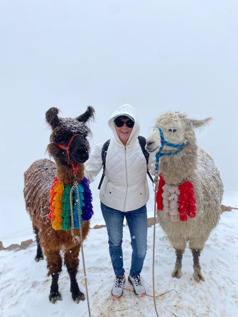      Person surrounded by two colorful llamas in snowy conditions.
  