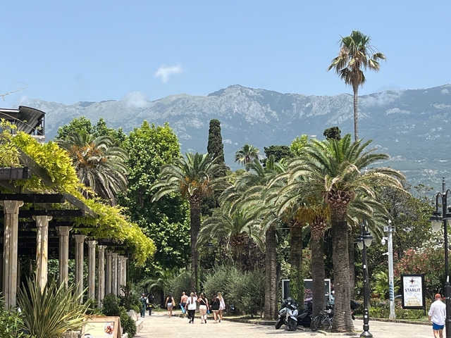       Lush park with palm trees and mountains in the background.
  