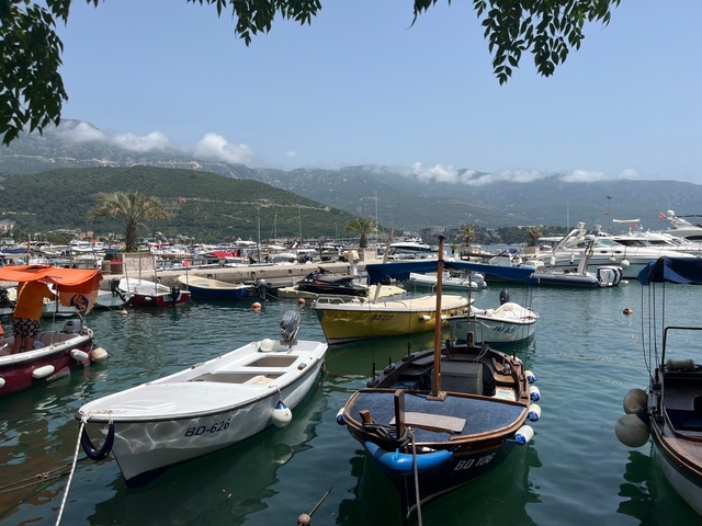       Marina with boats and mountains in the distance.
  