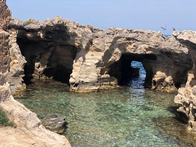       Rocky coastal area with clear water.
  