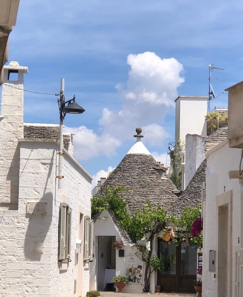       Traditional Trulli houses in a historical town.
  