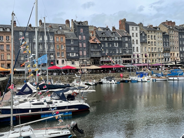       Harbor with boats and colorful buildings.
  