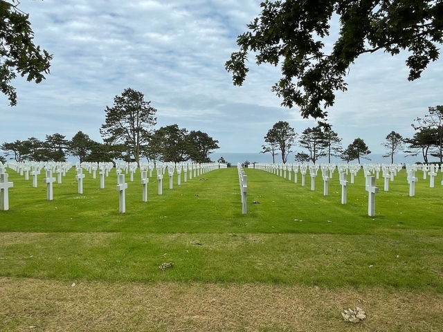       Military cemetery with aligned white crosses and trees.
  