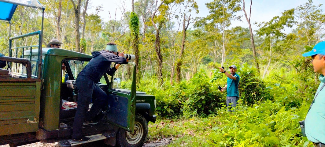 Two people engaged in wildlife photography in a forest.