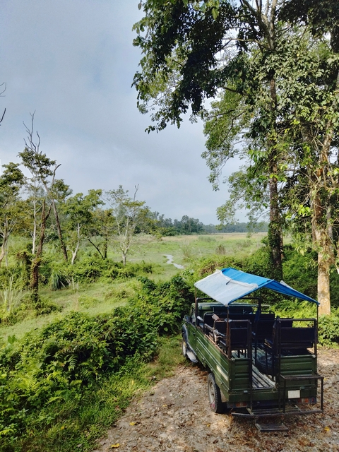       Lush green clearing with trees and a small path.
  