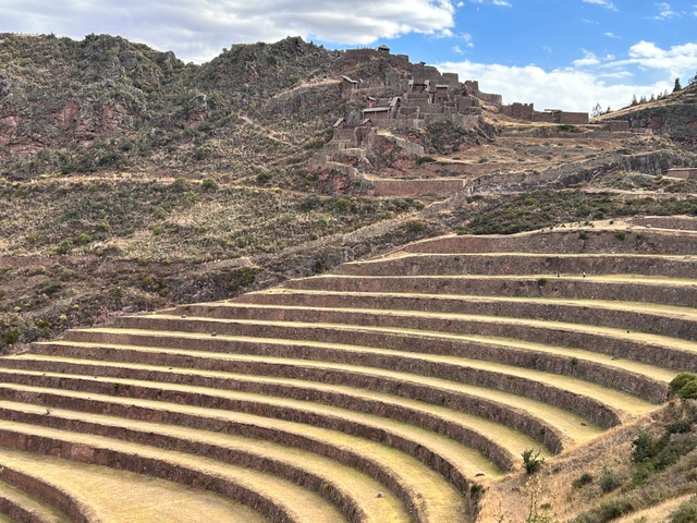 Terraced agricultural landscape with mountains.
