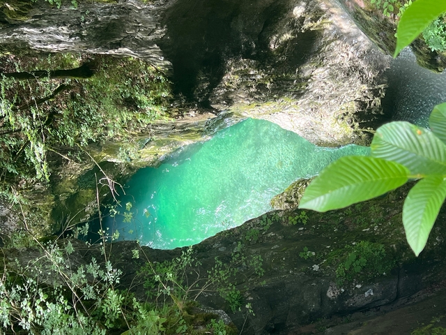 A turquoise water stream running through rocks and vegetation.