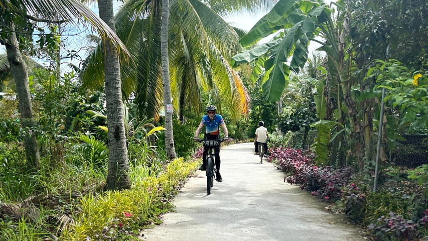 Cyclists on a tree-lined path in a rural area.