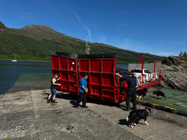People working with dogs on a red ferry at a lakeside.