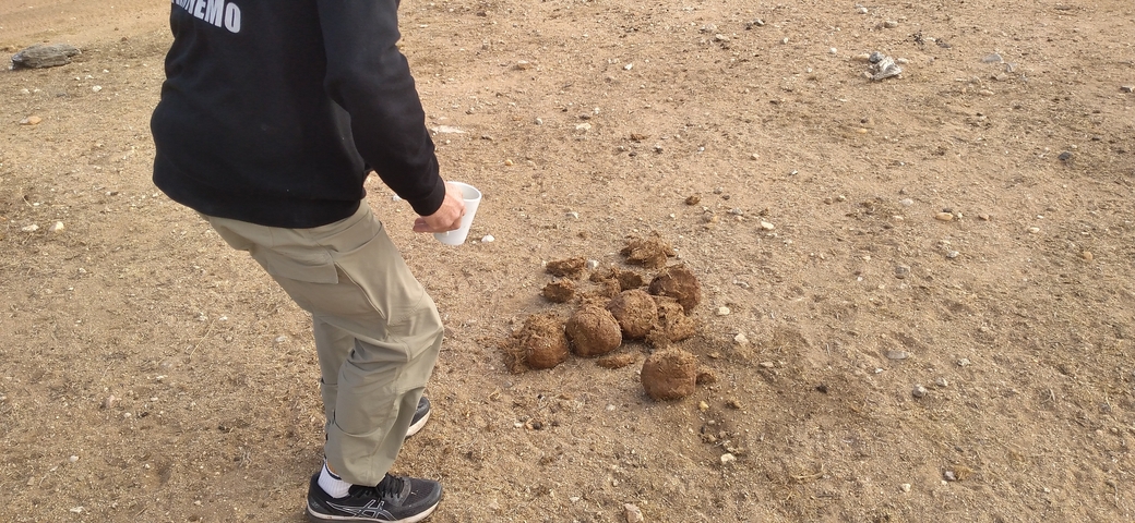 Person examining animal dung on the ground during a safari.