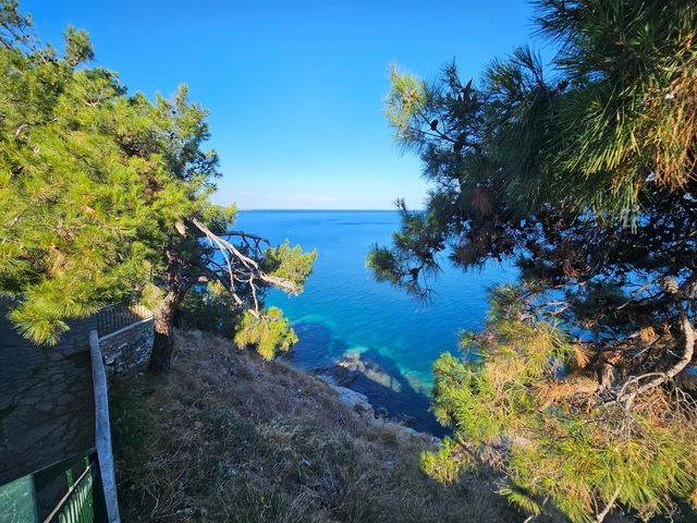      View of a rocky coastline with blue waters and greenery.
  