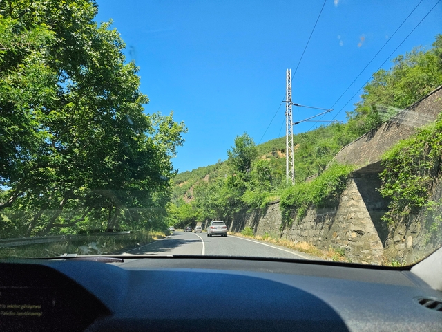       Road with cars surrounded by lush green trees.
  