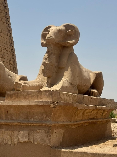       foto de reseña de cliente de Viaje Real a Egipto - Descubre El Cairo, Crucero por el Nilo y Circuito de Lujo a Abu Simbel 
  