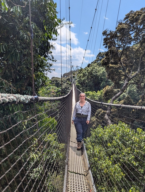       Woman on a suspension bridge in a lush forest.
  