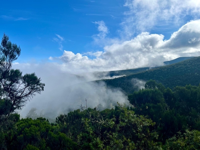       Lush landscape with fog rolling over hills and forests.
  