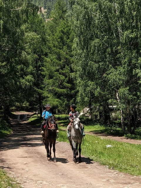       Two people riding horses in a forested area.
  