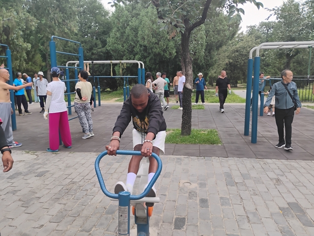       People doing exercises in an outdoor park.
  