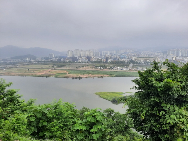       Cityscape view across the river with high-rise buildings.
  