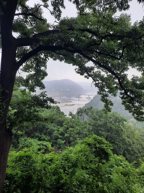       Framed view of a river through trees.
  