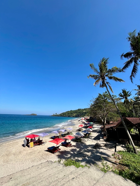 Beach view with palm trees and umbrellas.