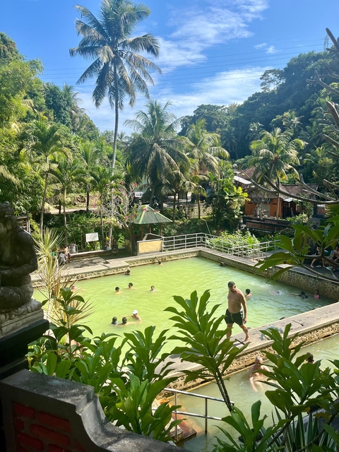 People swimming in a natural-looking pool in a tropical setting.