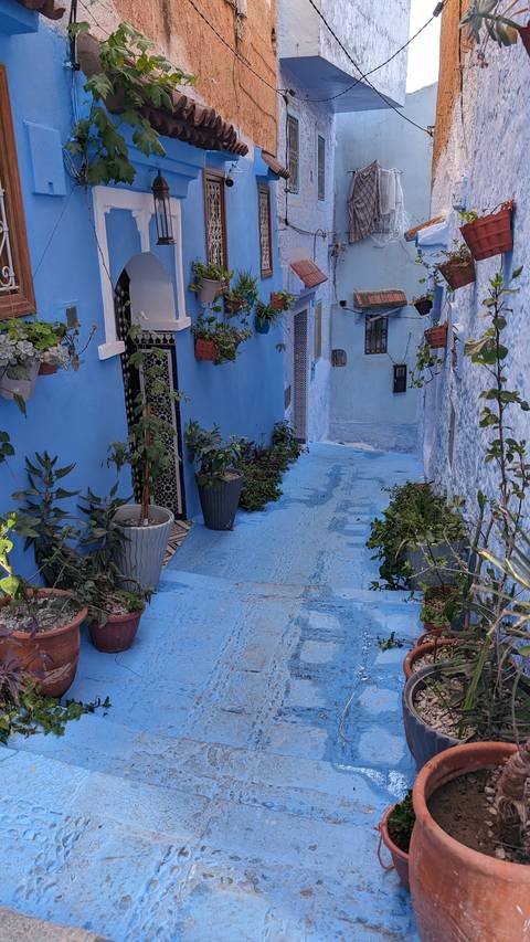       Blue-painted alleyway with plants and decorative details.
  