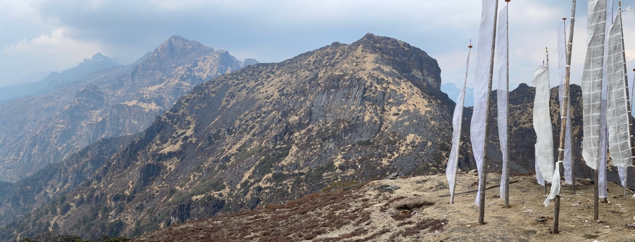 Mountain range with prayer flags in the foreground.