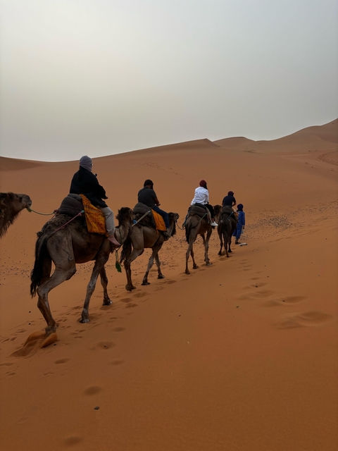 A line of camels guided by people walking across sand dunes.