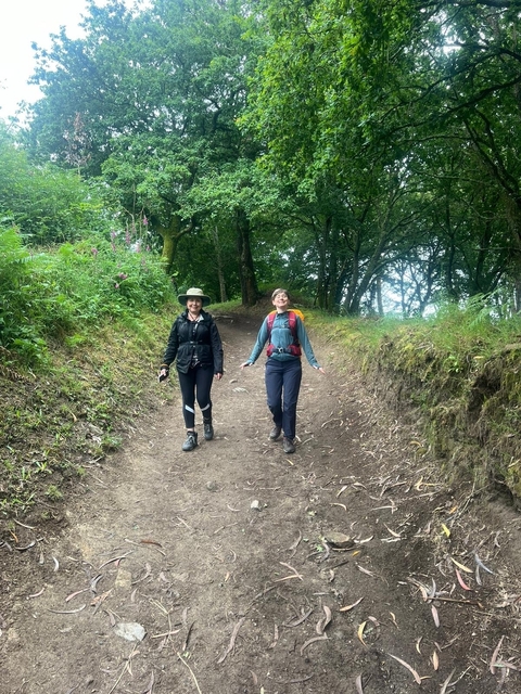       Two hikers on a scenic forest trail.
  
