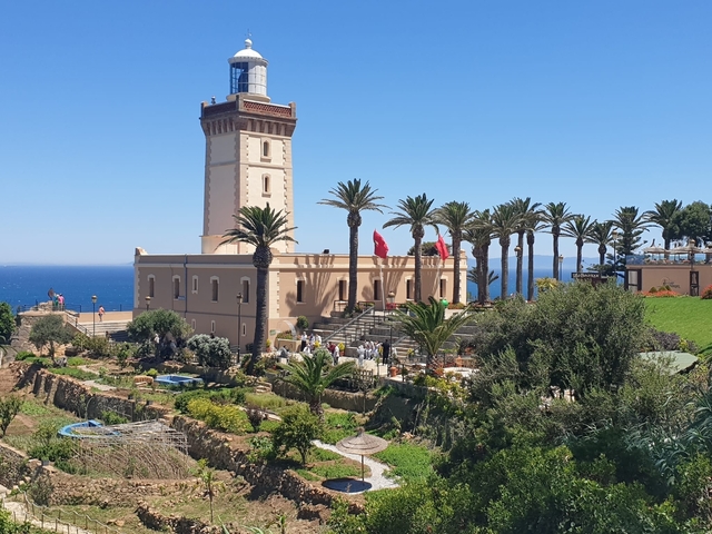       Palm trees and a lighthouse by the sea.
  