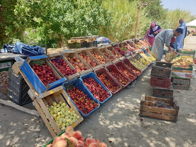       Wide variety of fresh fruits displayed at an outdoor market stall.
  