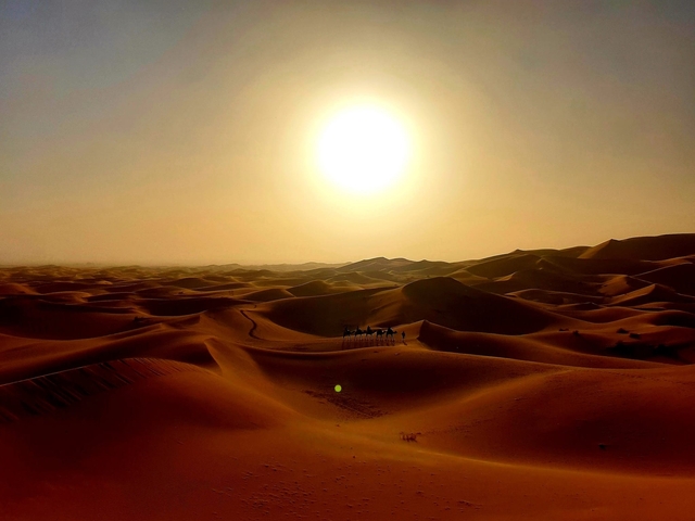       Sunset over desert dunes with small silhouettes of camels.
  