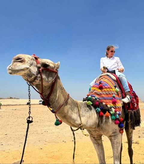 Person riding a decorated camel in the desert.