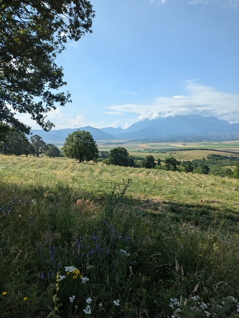       Lush green field with mountains in the background.
  