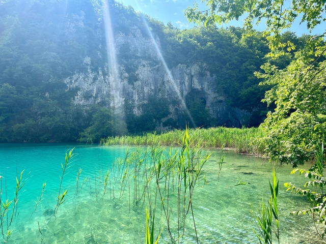       Clear turquoise lagoon surrounded by lush vegetation.
  